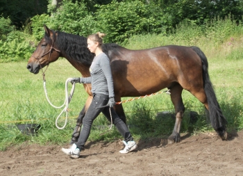 Bild in Vorbereitung