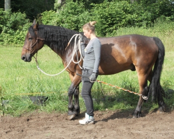 Bild in Vorbereitung