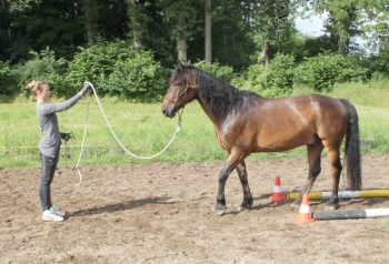 Bild in Vorbereitung