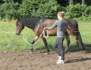 Bild in Vorbereitung